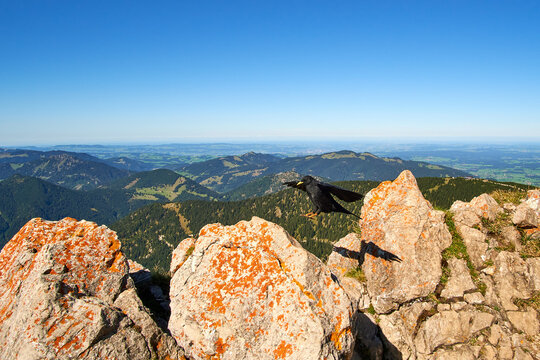 Aggenstein, Pfronten, Allg&auml;u, Deutschland