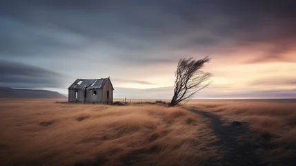 Foto op Canvas petite maison abandonnée, isolée et en ruine dans un paysage désolé sous un ciel d'orage © Sébastien Jouve