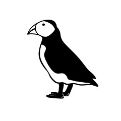 Vector illustration of hand drawn silhouette of a puffin bird