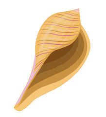Vector cartoon illustration of colorful seashells on white background.