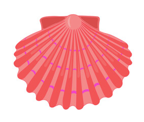 Vector cartoon illustration of colorful seashells on white background.