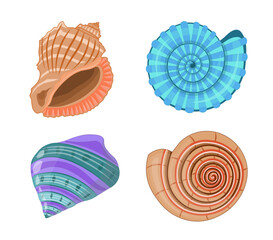 Collection of vector cartoon illustration of colorful seashells on white background.