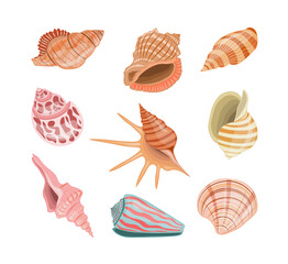 Collection of vector cartoon illustration of colorful seashells on white background.