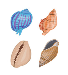 Collection of vector cartoon illustration of colorful seashells on white background.