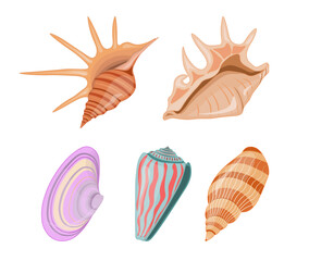 Collection of vector cartoon illustration of colorful seashells on white background.
