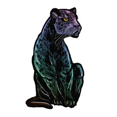 black leopard isolated on white