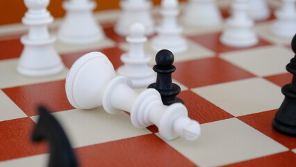 Pawn that made checkmate. The pawn that overthrew the king. Checkmate in chess
