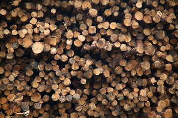 Log Pile