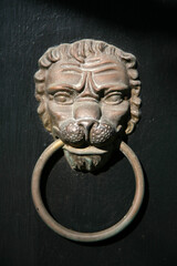 Lion Door Knocker