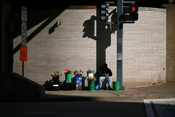 Street Flower Seller