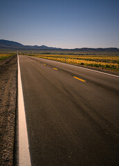 Fototapeta na wymiar Wild roads of south west of USA