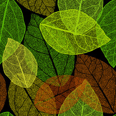 Seamless pattern of skeletonized yellow autumn leaves. hand drawing. Not AI, Illustrat3. Vector illustration