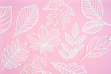 Fototapeta na wymiar White leaves made from carve paper or cutting on pink background.