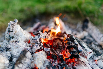 Bonfire close up. Burning firewood in nature against the background of grass. Ashes and coals, camping. Forest fires
