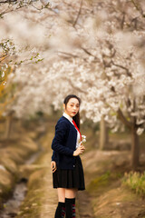 Asian girl playing under the beautiful plum tree