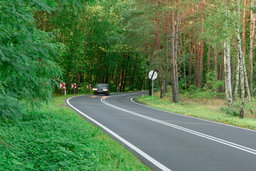 Zakręt asfaltowej drogi. Po obu stronach rośnie gęsty las. Po obu stronach drogi znajdują się...