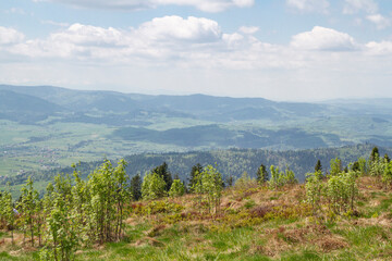Widok z góry Ćwilin w Beskidzie Wyspowym   Widok z góry Ćwilin w Beskidzie Wyspowym © Adrian White