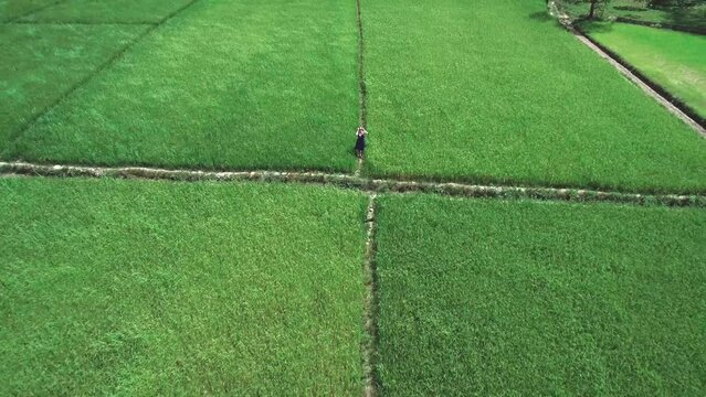 4K Aerial drone footage of blond girl in blue dress standing in the rice fields in El Nido, Philippines