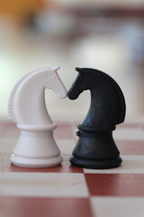 white and black knight facing each other in chess. Black and white chess knight standing side by side, experiencing impossible love © onur