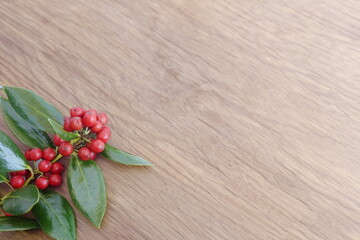 Red Winterberry Spring on Light Wood Background with Room for Text