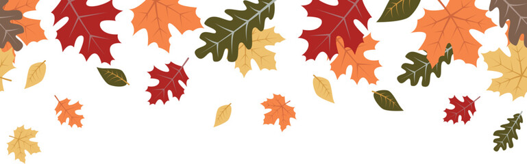 Seamless Fall leaves border. Autumn leaves overlay.