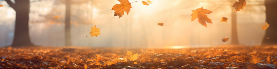 Naklejka na ściany i meble autumn leaves in the forest 