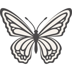 Schmetterling mit transparentem Hintergrund 