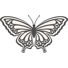 Schmetterling mit transparentem Hintergrund 