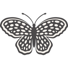 Schmetterling mit transparentem Hintergrund 