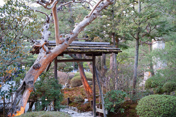 japanese garden,京都