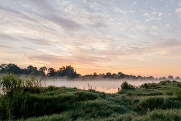 Beautiful meadow of green grass covered with dew, early foggy morning. Dawn on the river bank. Summer background
