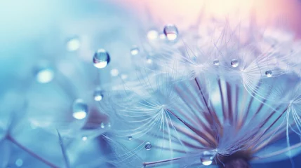  Beautiful dew drops on a dandelion seed macro. Beautiful soft light blue and violet background. Water drops on a parachutes dandelion on a beautiful blue. Soft dreamy tender artistic image form © Oulailux