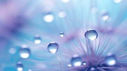 Foto op Plexiglas Beautiful dew drops on a dandelion seed macro. Beautiful soft light blue and violet background. Water drops on a parachutes dandelion on a beautiful blue. Soft dreamy tender artistic image form © Oulailux