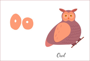 Bird Owl Letter O English Alphabet