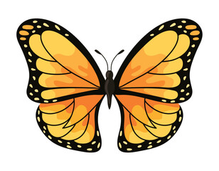 butterfly monarca illustration
