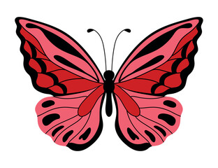 butterfly wild isolated