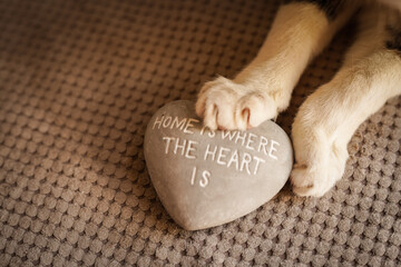 Cat paws. Home is where the heart is