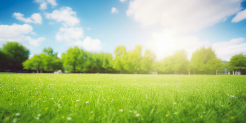 Fototapeta premium Forest Glade With Trees On The Horizon On A Blue Sky Background Created Using Artificial Intelligence