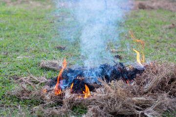 Making fire or burning dry grass