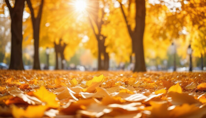 Orange and Golden Leaves in Sunlit Park