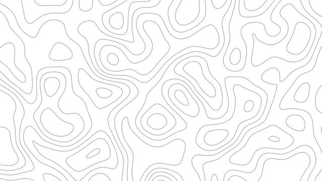 Topographic animation scheme and terrain. Topography grid map. Stylized topographic contour map. Geographic line mountain relief. Abstract lines or wavy backdrop background. Contour map background.