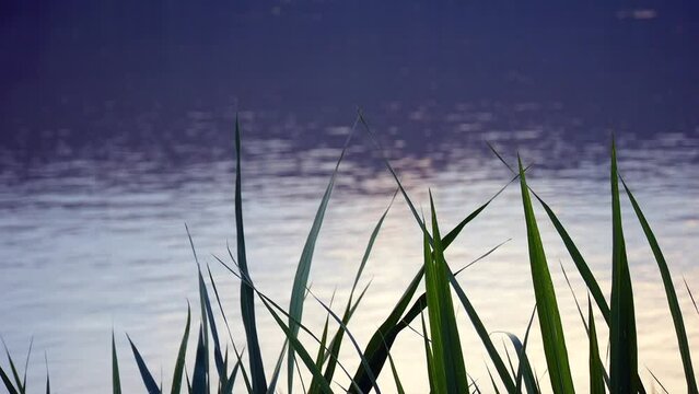 View landscape and flowing of water in Mae Khong river, The Mekong flows, Calm water with a reflection of the sky and a strip of greenery on the horizon, ripples on the water surface