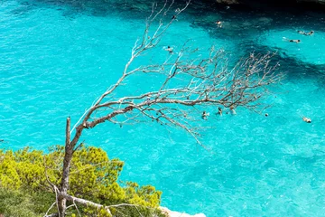 Crédence de cuisine en verre imprimé Turquoise Calo des Moro is where you will think the Caribbean meets the Mediterranean. It is a beautiful virgin beach located between rocks and pine trees that offer a small oasis to rest from the summer heat.