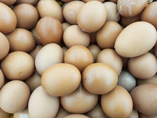 chicken eggs in one basket are sold at the market