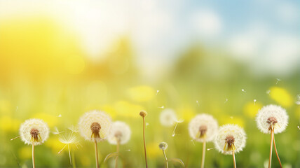 Sunlit dandelions with floating seeds against a vibrant yellow backdrop, symbolizing spring and serenity