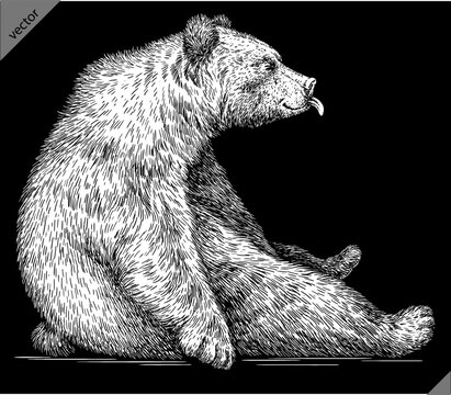  Vintage engrave isolated black bear set illustration ink sketch. American grizzly background asian animal silhouette vector art