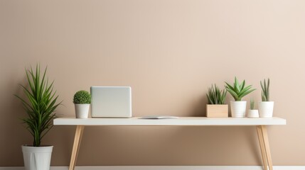 Featuring a white desk, a green plant, and plenty of natural light, this is a minimalist home office.