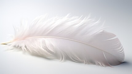 Pristine White Background with Soft Feather Details on the Surface.