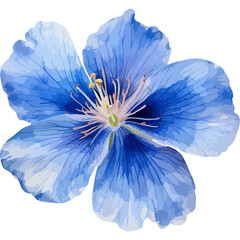 Flower Watercolor element on white background