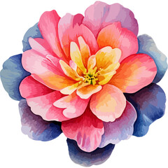 Flower Watercolor element on white background